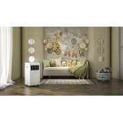 Кондиционер мобильный Olimpia Splendid DOLCECLIMA COMPACT 8 MWB (OS-2373) - 2