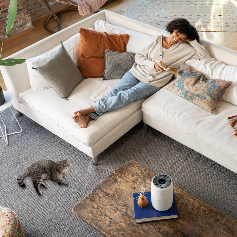 Очиститель воздуха Levoit Air Purifier Core Mini (HEAPAPLVNEU0114Y) - 1