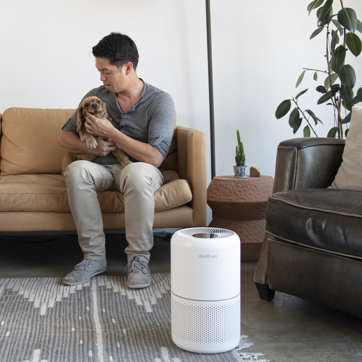 Очиститель воздуха Levoit Air Purifier Core P350 Pet Care White (HEAPAPLVNEU0035)