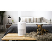 Очиститель воздуха Levoit Air Purifier Core 300 White (HEAPAPLVNEU0036) - 3
