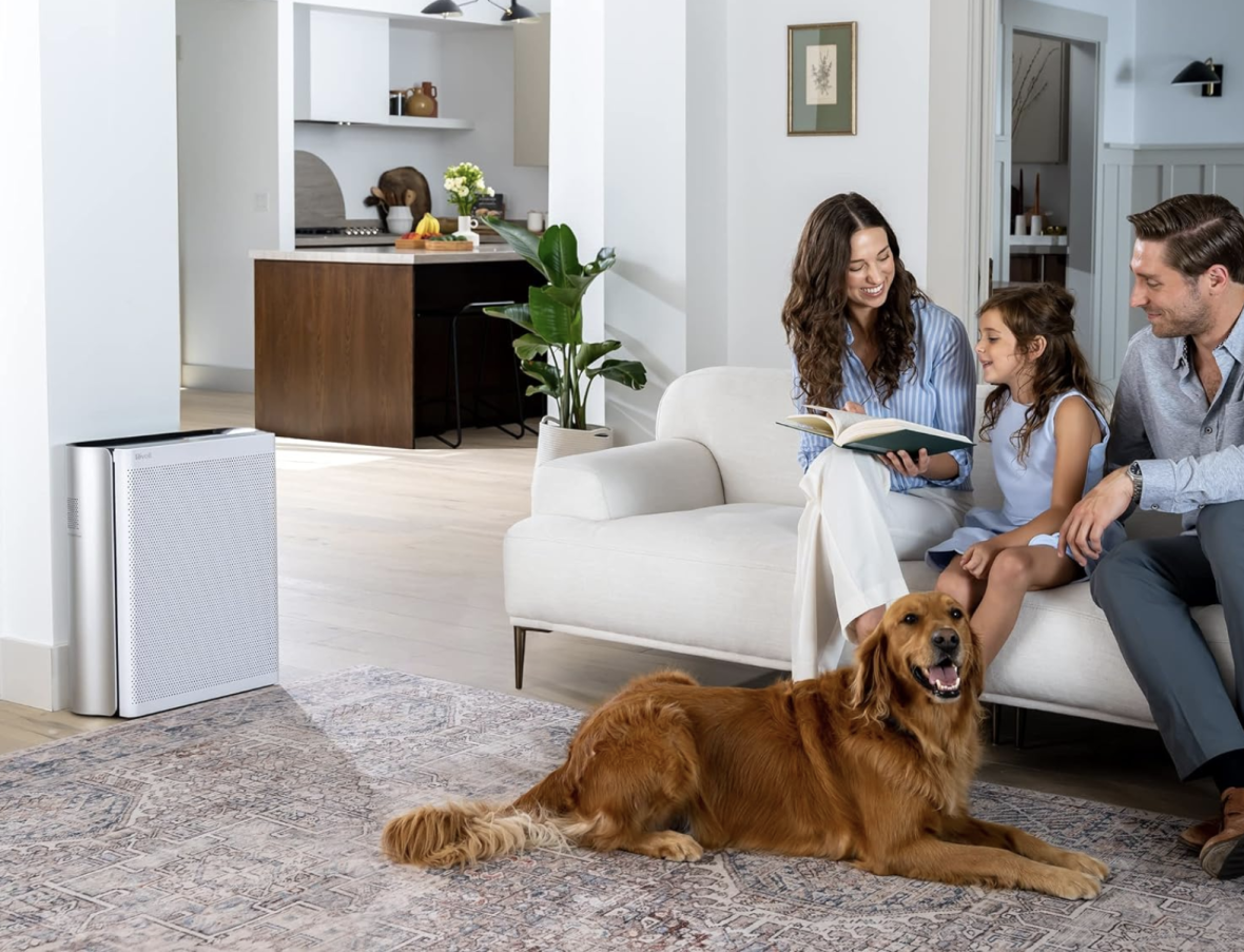 Очиститель воздуха Levoit VeSync EverestAir Smart True HEPA LAP-E551S-AEUR (HEAPAPLVSEU0148Y)