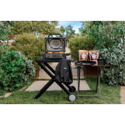 Электрический гриль-барбекю и коптильня Ninja Woodfire OG701EU - 5