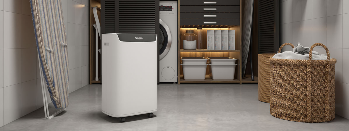 Осушитель воздуха Olimpia Splendid AQUARIA S1 12 P (OS-2061)