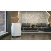 Кондиционер мобильный Olimpia Splendid DOLCECLIMA BREZZA 14 HP WIFI (OS-2258) - 2